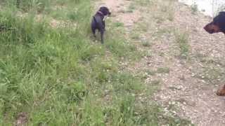Naomi Patterdale & Lana