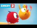 Youtube Thumbnail title