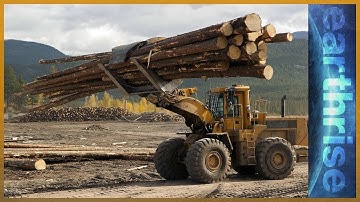 Ecosystem Alert: Protecting Lands in Peril | earthrise