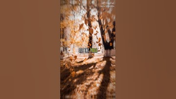 NATURES WISDOM:Life Lessons from the Natural World. #interconnectedness #mothernature #naturehealing