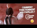 Comment fonctionnent nos papilles 