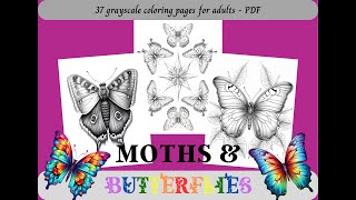 Moths & Butterflies, Grayscale Coloring Pages for Adults / 37 Printable Pages