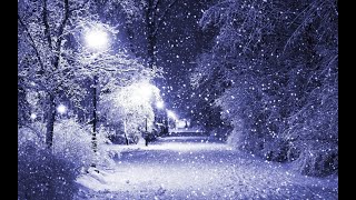 Me recording the first snowfall in muncie, indiana