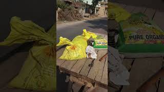 Village life daily video #kheti