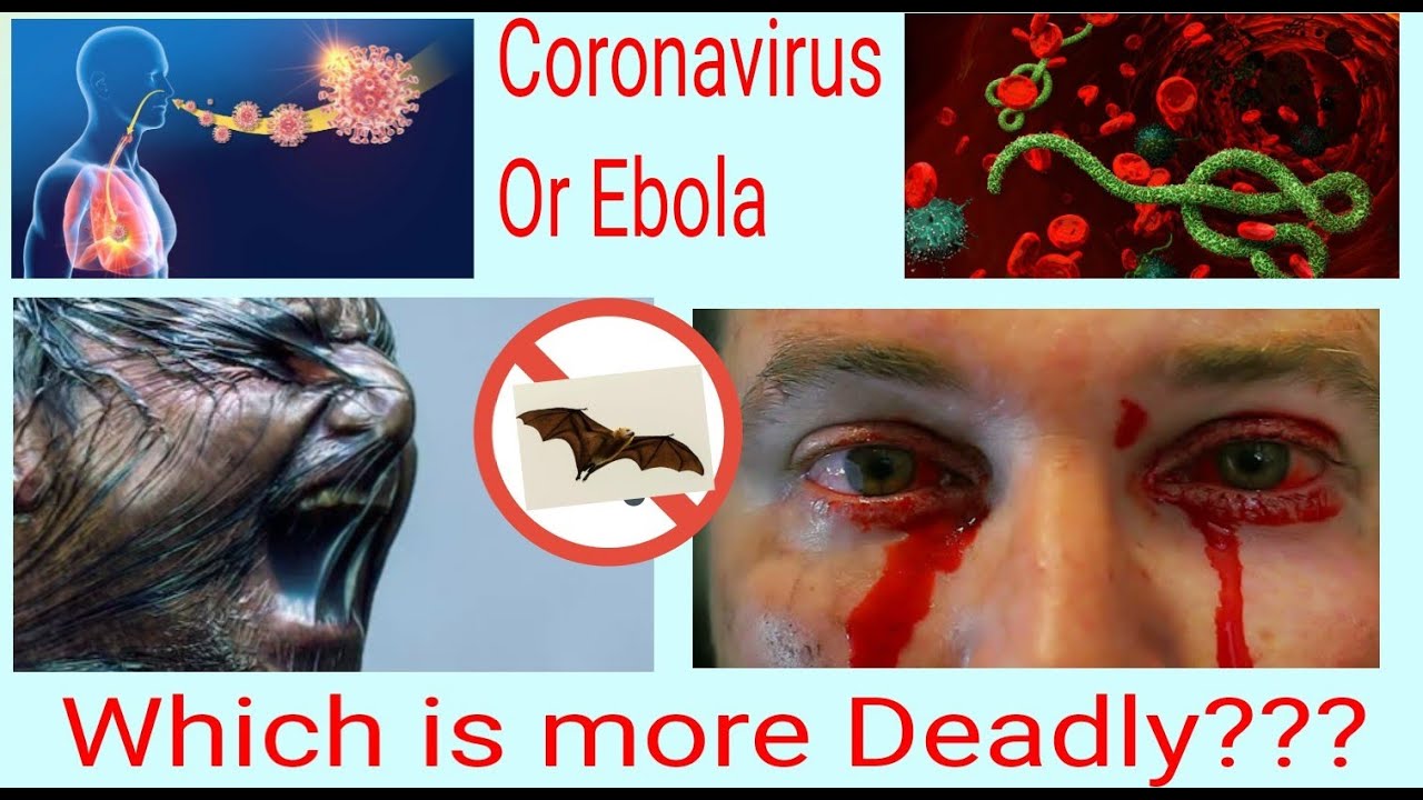 Top 5 Deadly virus 2020 virus More Deadly than Covid19. YouTube