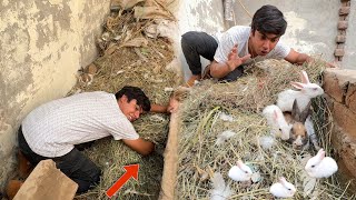 Rabbits Ky Bacho Ko Pakra 😍 Carry Me Sy screenshot 5