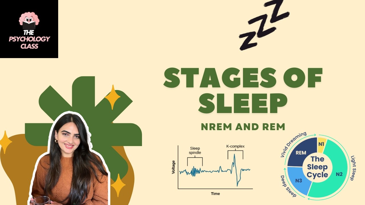 Stages of Sleep Explained: NREM vs REM