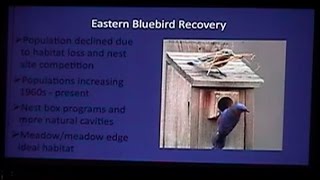 Backyard Habitat 2 Being Good Neighbors with Birds
