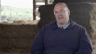 Oak Spring Farms: 3 Strategies for Building Dairy Feed Rations