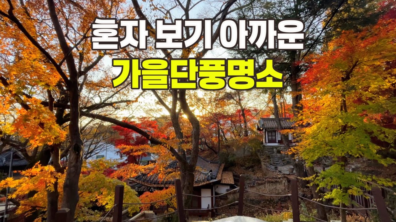 4K) 혼자 보기 아까운 🍁가을단풍명소/서울에 있는 🍂사찰단풍명소 길상사 봉은사/지금 안 보면 후회할 가을단풍명소
