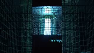 BUG BUSTER....20,000 VOLTS..ZZZZIIIZZZIPPPPOW...INSTANTLY SMOKED...