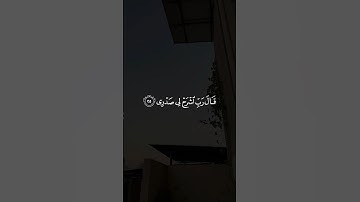 قَالَ رَبِّ اشْرَحْ لِي صَدْرِي || سورة طه #علاء_عقل 🤍🌱