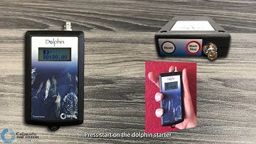 Using the Dolphin Wireless Swim Timing System as a Starting Official | Colorado Time Systems