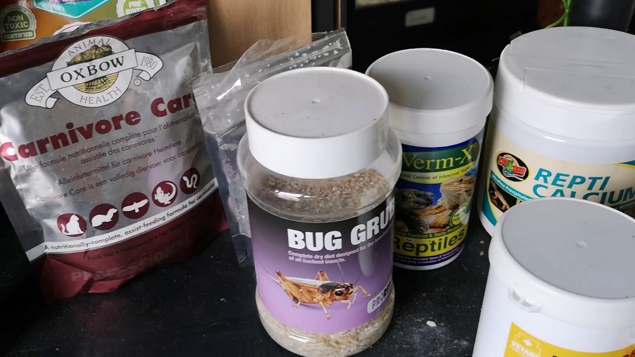 Our Reptile Essentials!