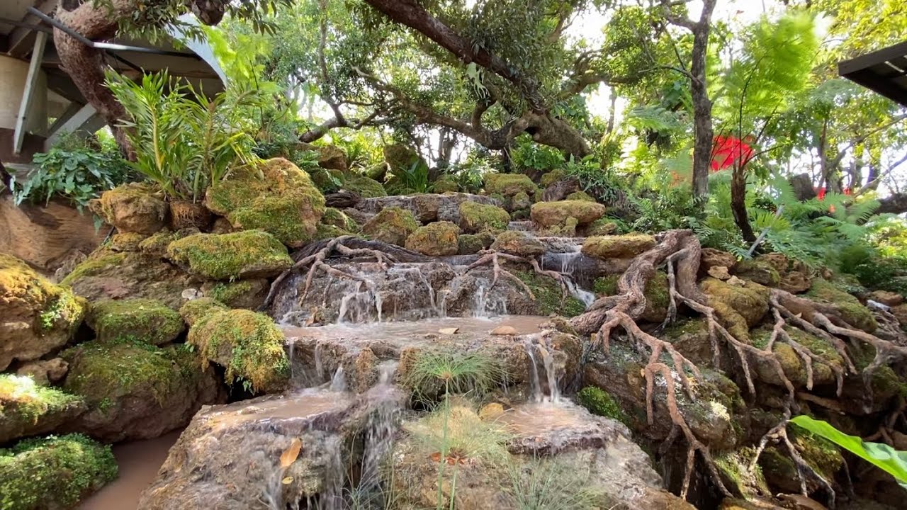 The For Rest coffee cafe ร้านกาแฟท่ามกลางธรรมชาติที่สวยงามและร่มรื่น -  YouTube