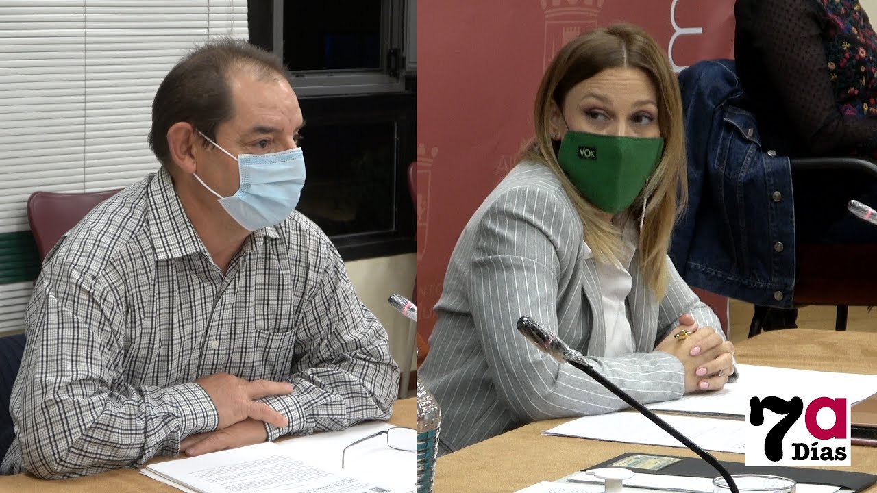 Insultos y medallas entre IU y Vox en el pleno por el 5G