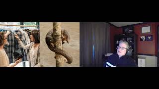 The Butterfly Effect of Innovation - Sarah Maston (Microsoft): URTC 2020 Tech Talk