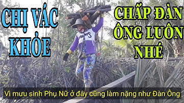 Khai thác cây Đước ở vùng Cà Mau | Exploiting Rhizophora in Ca Mau region