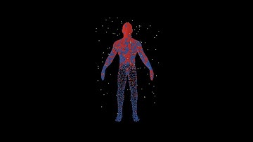 Agent-based 3D Modeling Toolkit - Particle Collision