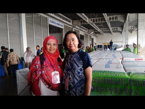 PT. Ori Ginalnest
