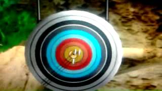 Wii Sports |Wii| Tiro con arco. screenshot 4