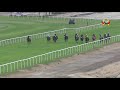 race 7