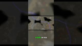 Plane Crashes Should NOT Be This Exciting… | Subsistence 😱 #shorts #crash