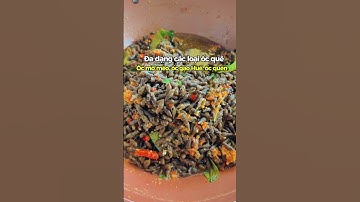 Ốc gạo Huế, ốc quén chuẩn vị có ngay ở Quận 2