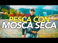 Iniciación a la 🎣 PESCA CON MOSCA SECA 🦟