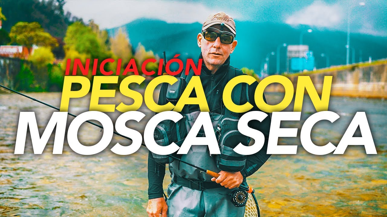 INICIACIÓN a la PESCA con MOSCA SECA | MATERIALES, TÉCNICAS y CAPTURAS