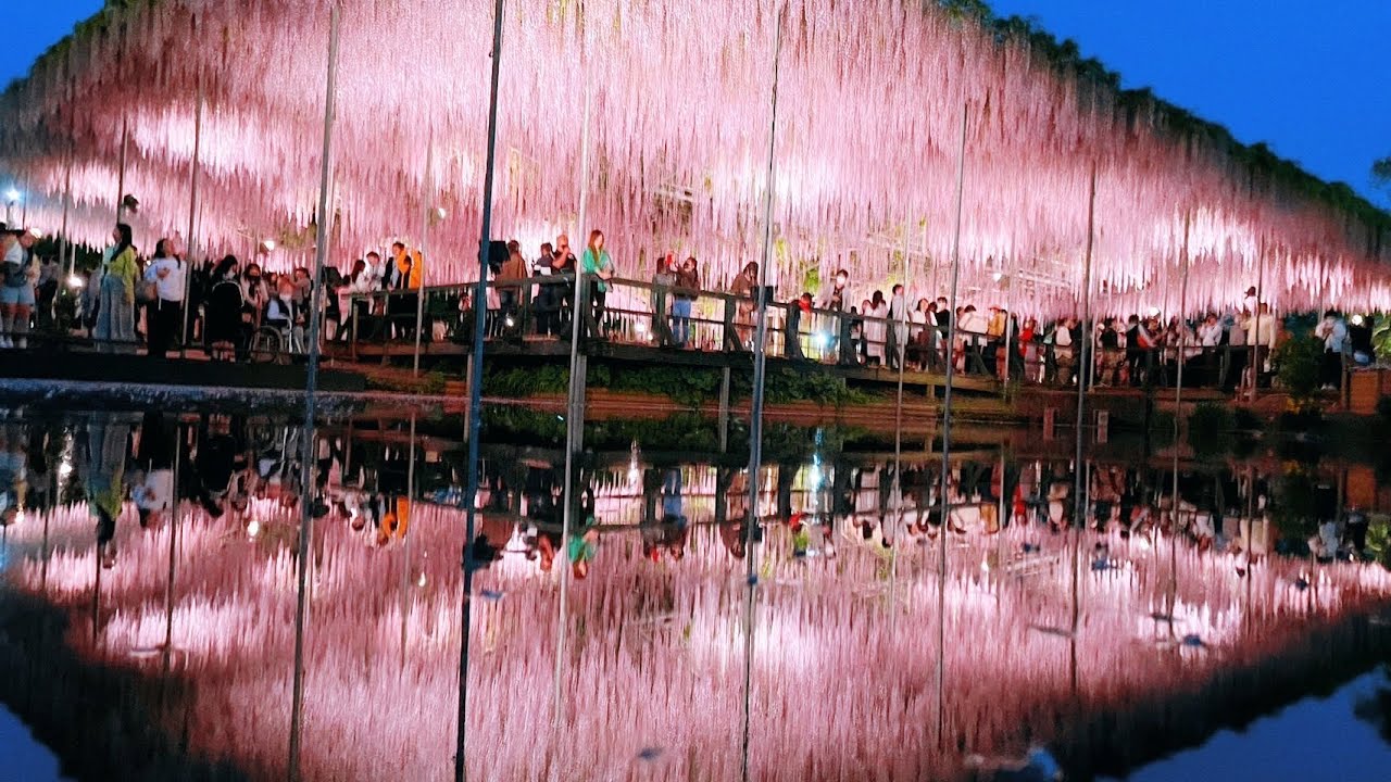 DEMON SLAYER WISTERIA FLOWER GARDEN A Dangerous Flower For Demons