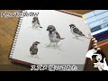 Drawing  Sparrows How to draw【スズメ描いてみた】かわいいスズメのお食事タイムにお邪魔しました・コピックペン・色鉛筆