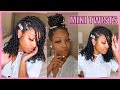 How To | Mini Twists On Natural Hair | Natural Hair Made Easy