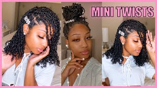 How To | Mini Twists On Natural Hair | Natural Hair Made Easy