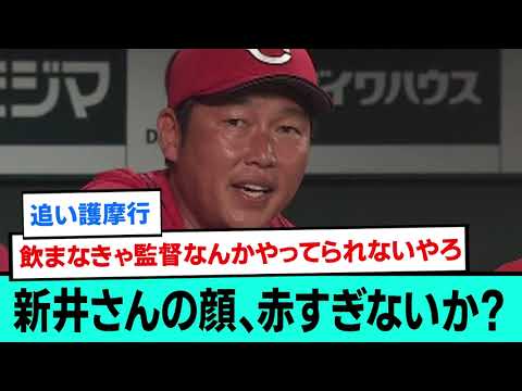 新井さんの顔、赤すぎないか？【プロ野球/なんJ反応まとめ・ 2chスレ・5chスレまとめ/VOICEVOX/広島東洋カープ/新井貴浩】