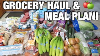WALMART GROCERY HAUL & MEAL PLAN!