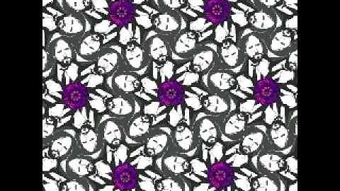 Duncan Trussell talks about Psychedelics