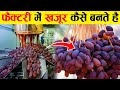 पेड़ से तोड़कर फैक्ट्री मे खजूर बनाने का ये है असल तरीका See how dates made in the factory