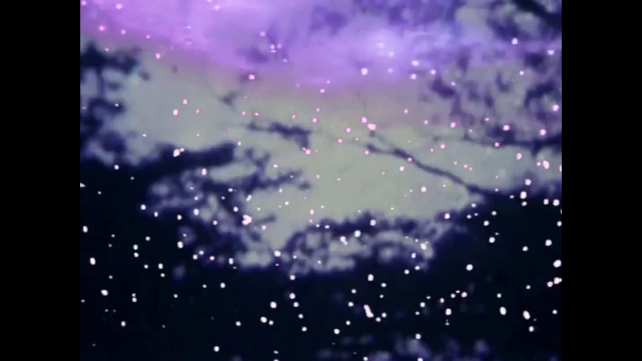 legacies i — tyler etters & the northern information movement —  arcadian nights