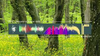 001 - Botanica House Mix