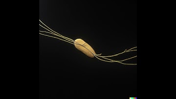 No surgery to get a brain computer interface chip, takes only 2 hours for the procedure