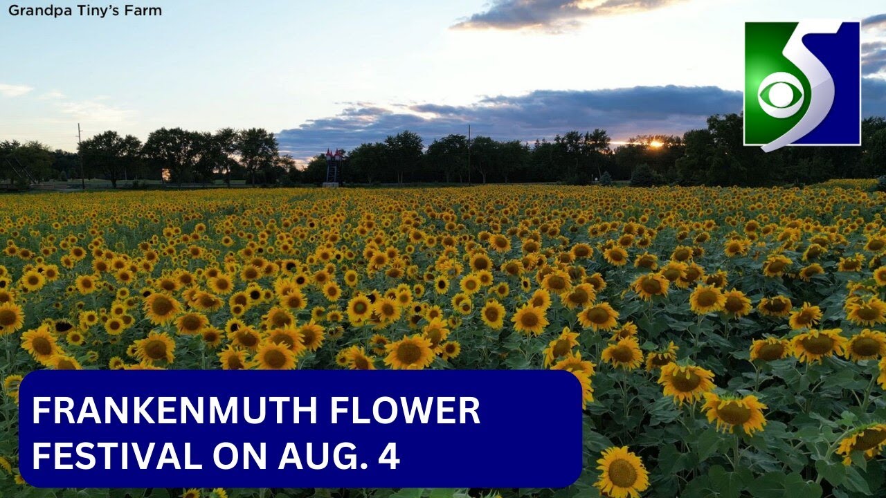 Frankenmuth Flower Festival started as fluke, blossomed into yearly
