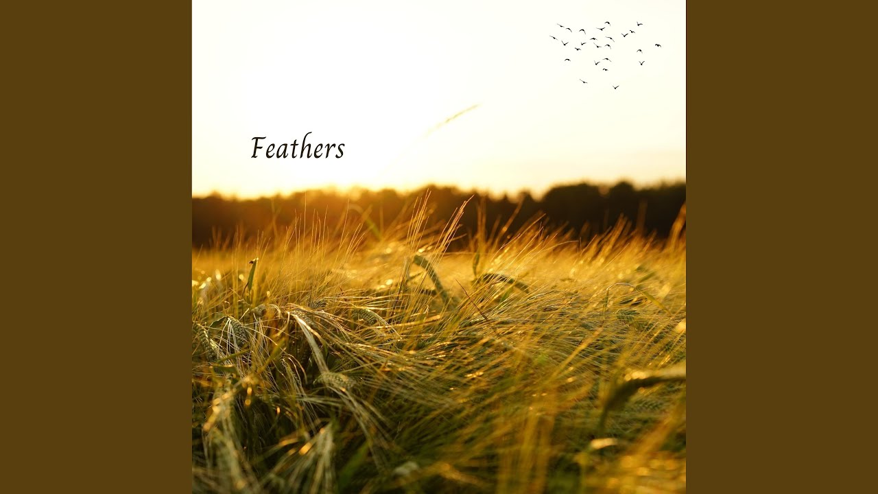 Watch Feathers on YouTube Watch Feathers on YouTube