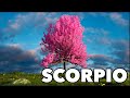 SCORPIO - AS SOON AS You LeT Go, ITS YOURS!! - JUNE TAROT 2023