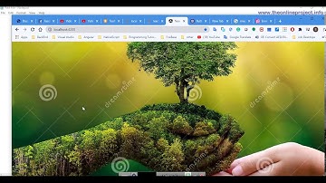 How to add Image in Angular 10