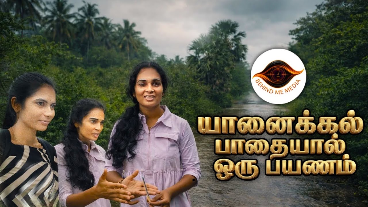 யானைக்கல் பாதையால் ஒரு பயணம் 🦣⛰️