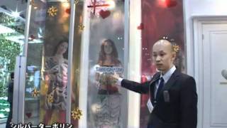 [街づくり 流通ルネサンス 2011] シルバーターポリン - サインアーテック