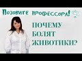 Язвенная болезнь у детей. Почему болят животики?