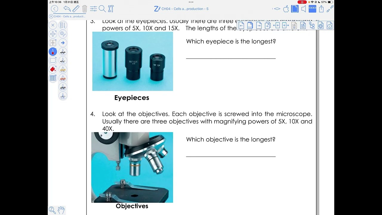 Integrated Science: Chapter 4 - Cells, Human Reproduction and Heredity - Microscope