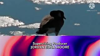 America's Funniest Animals Closing (2009)